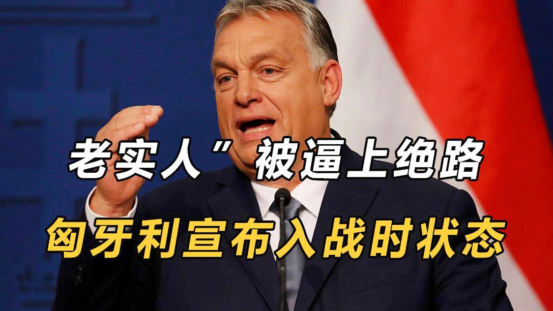 同乐城竞技-关于匈牙利逼平波兰，还有晋级希望的信息